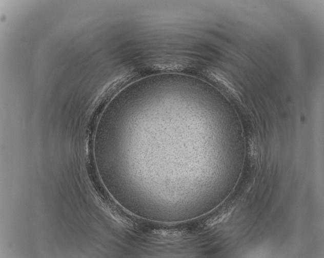 X0000064750733200602171732