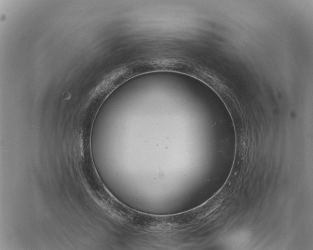 X0000064750734200602171732