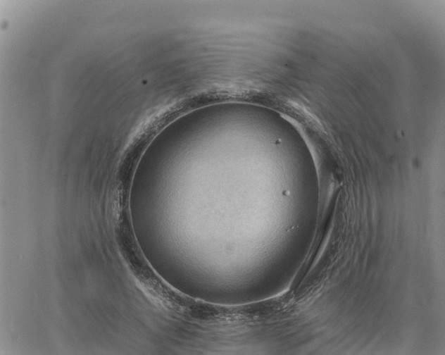 X0000064750736200602171732