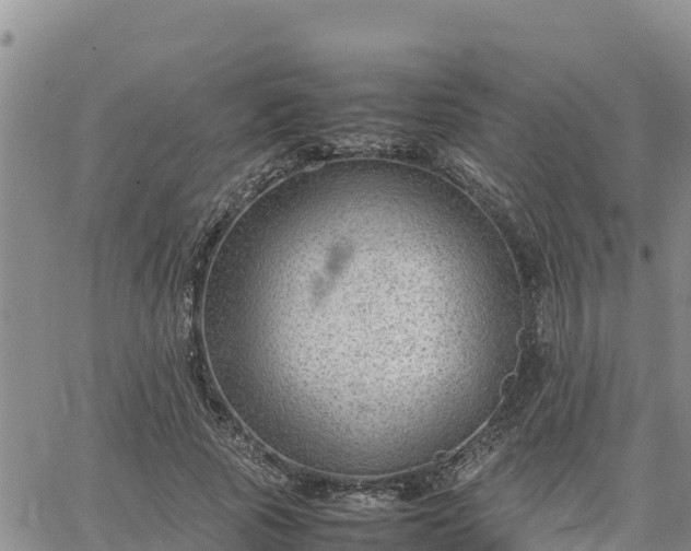 X0000064750737200602171732