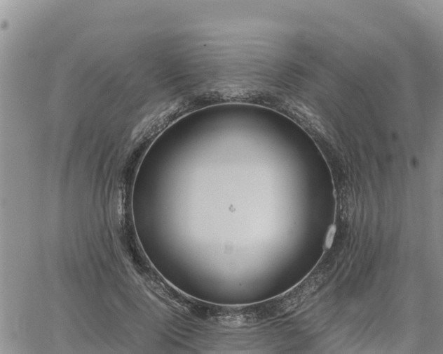 X0000064750740200602171732