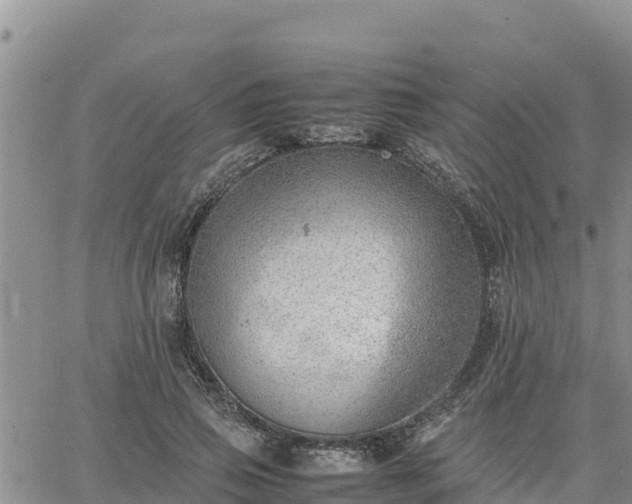 X0000064750741200602171732