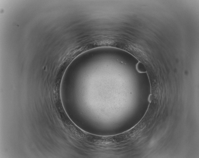 X0000064750743200602171732