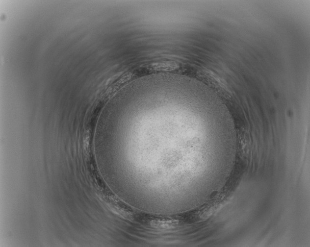 X0000064750745200602171732