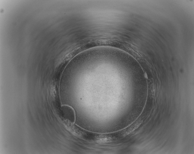 X0000064750746200602171732