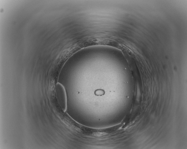 X0000064750748200602171732