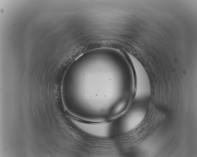 X0000064750750200602171732