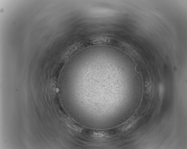 X0000064750753200602171733