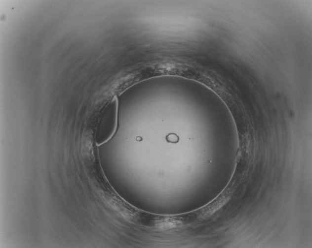 X0000064750754200602171733