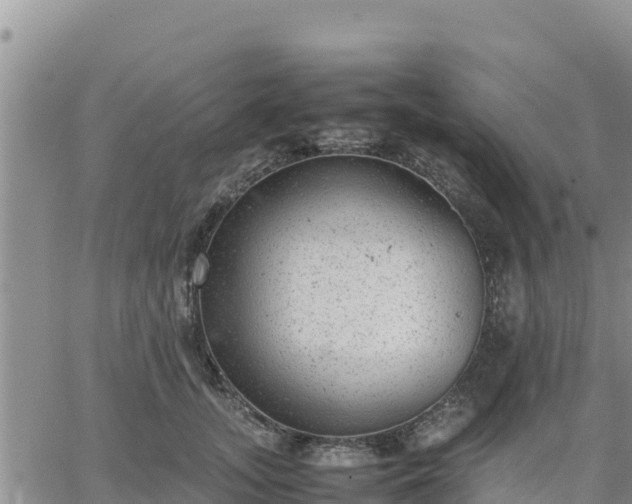 X0000064750755200602171733