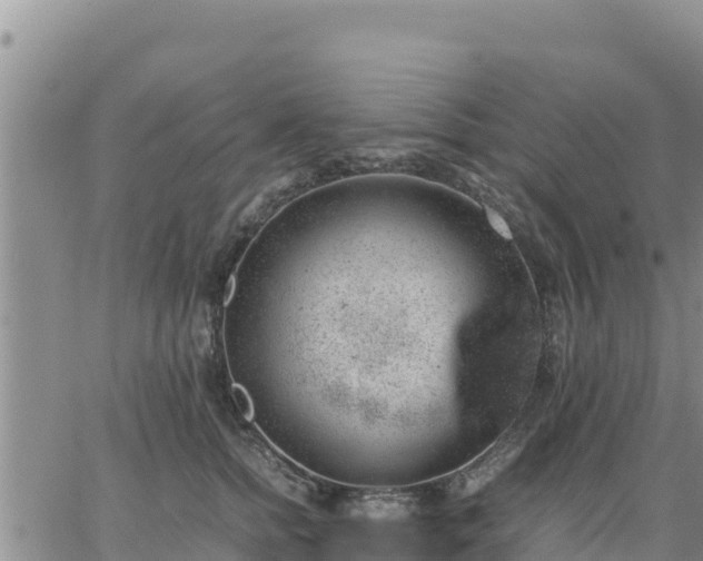 X0000064750758200602171733