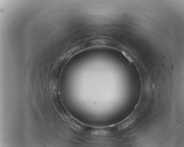 X0000064750759200602171733