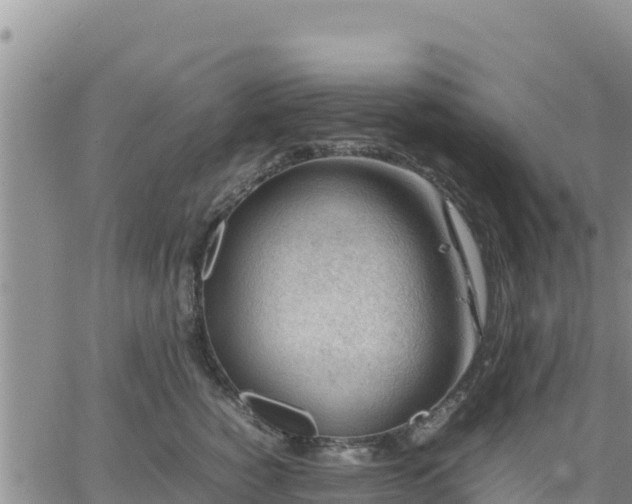 X0000064750760200602171733