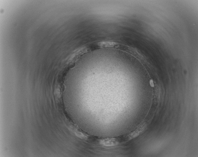 X0000064750761200602171733