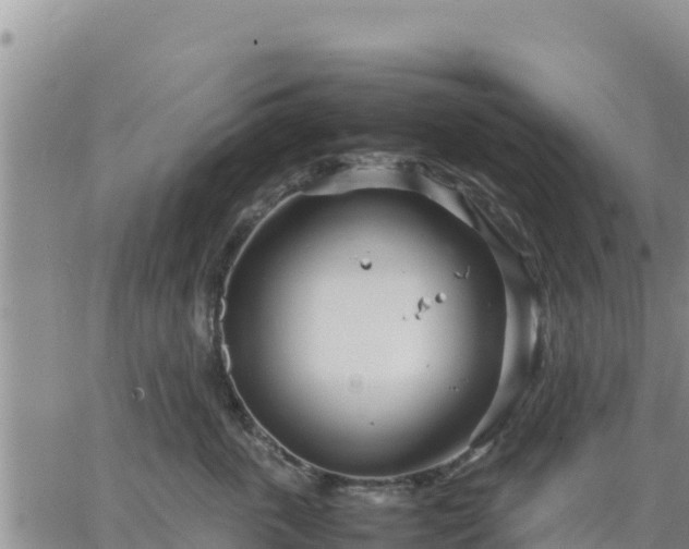 X0000064750763200602171733