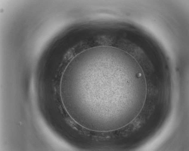 X0000064750765200602171733