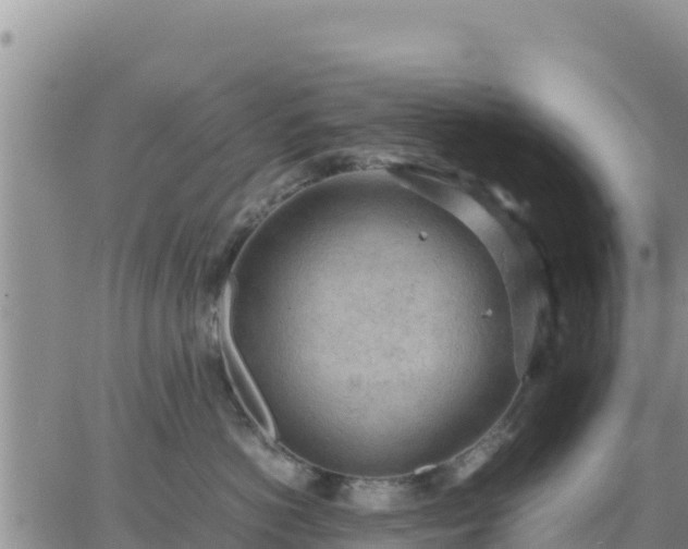 X0000064750766200602171733