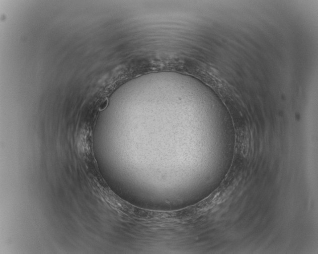 X0000064750770200602171732