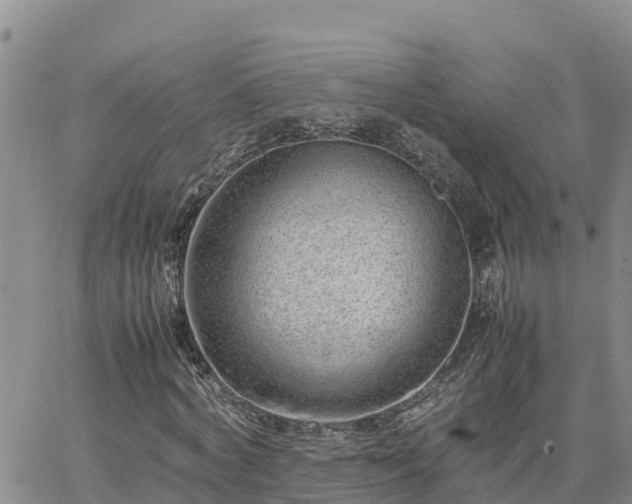 X0000064750772200602171732