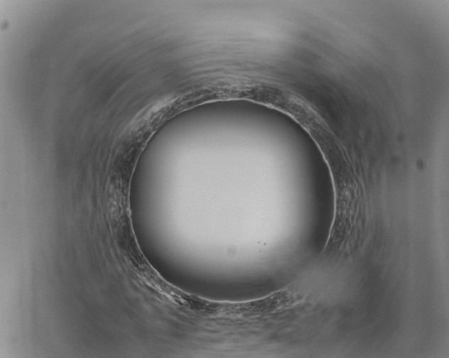 X0000064750773200602171732