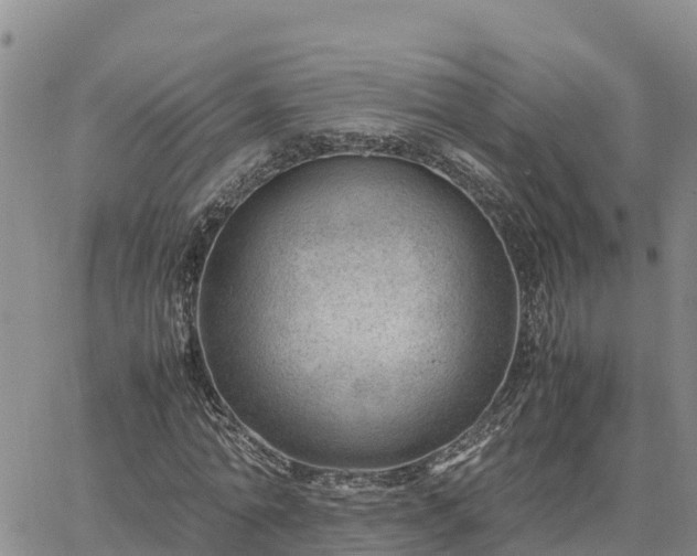 X0000064750774200602171732