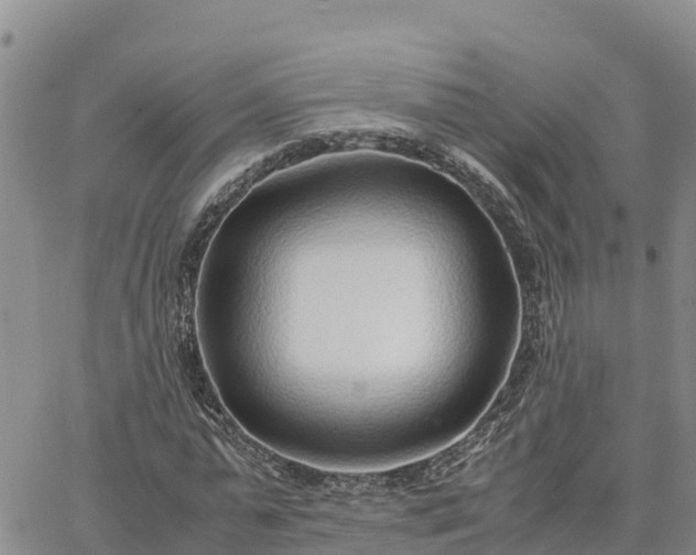 X0000064750775200602171732