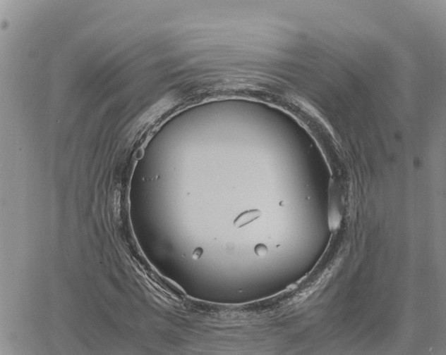 X0000064750777200602171732