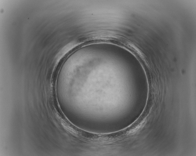 X0000064750779200602171732