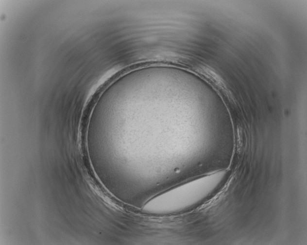 X0000064750780200602171732