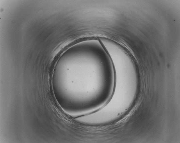 X0000064750781200602171732