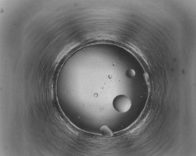 X0000064750782200602171732