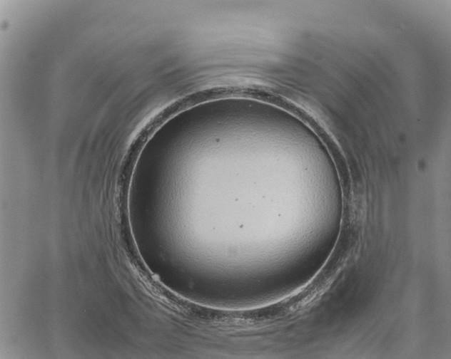 X0000064750783200602171732