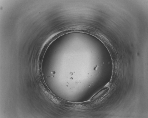 X0000064750784200602171732