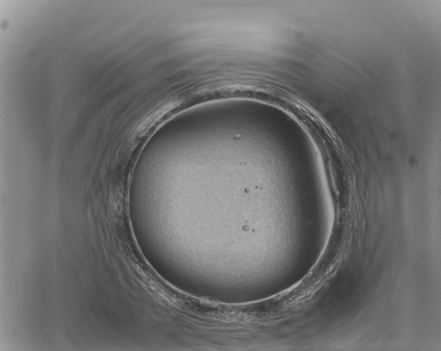 X0000064750785200602171732