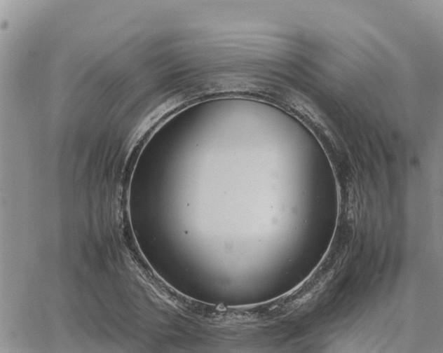 X0000064750786200602171732