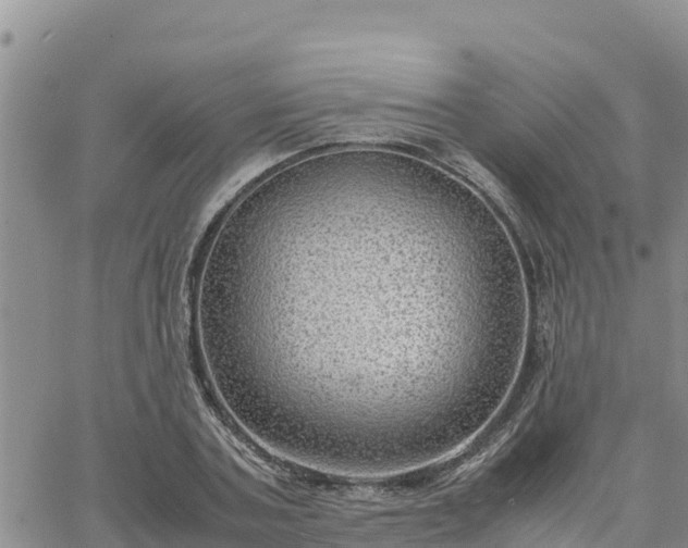 X0000064750787200602171732