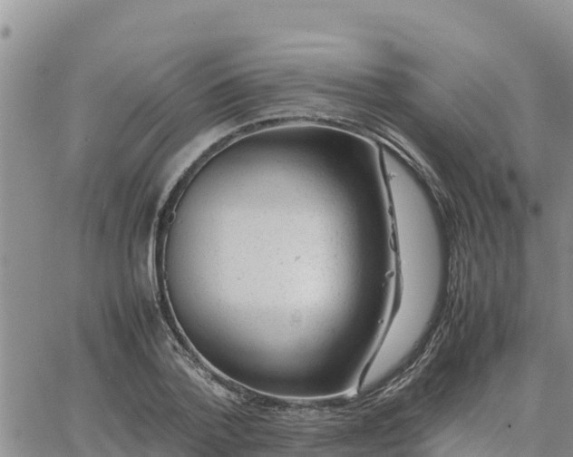 X0000064750788200602171732