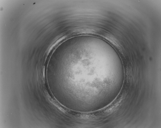 X0000064750790200602171732