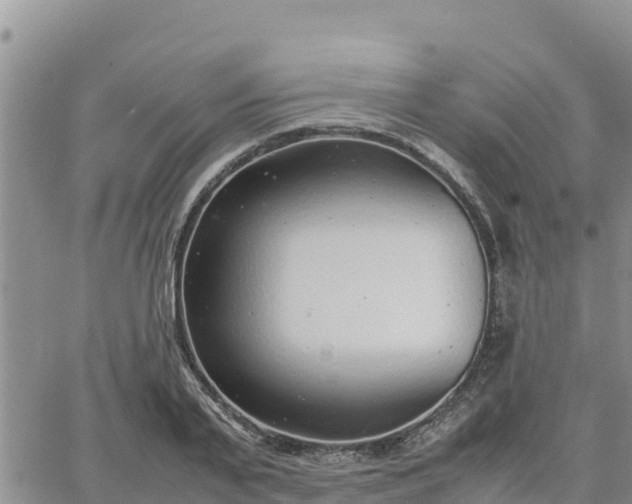 X0000064750791200602171732