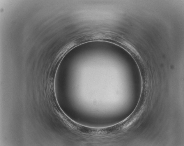 X0000064750793200602171732