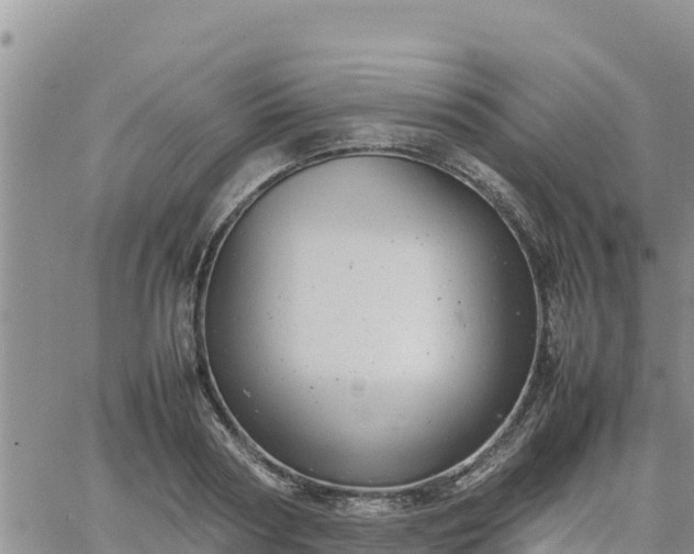 X0000064750794200602171732