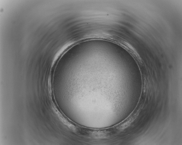 X0000064750796200602171732