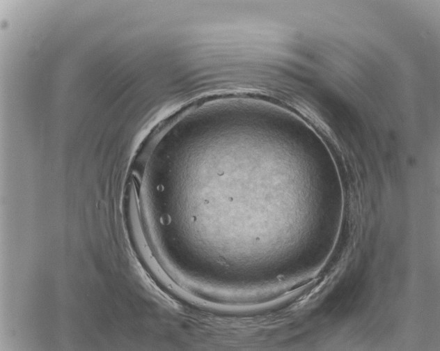 X0000064750797200602171732