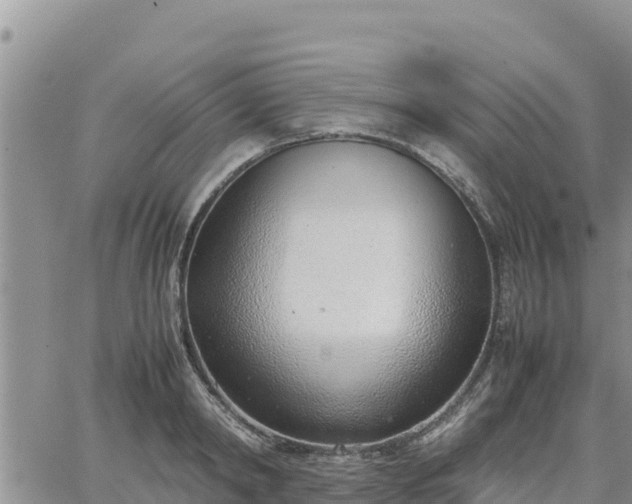 X0000064750798200602171732