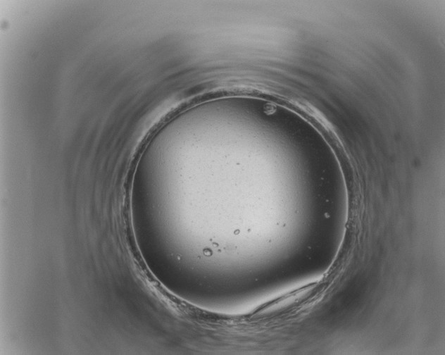 X0000064750799200602171732