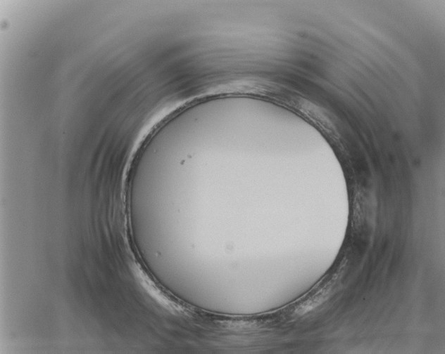 X0000064750800200602171731