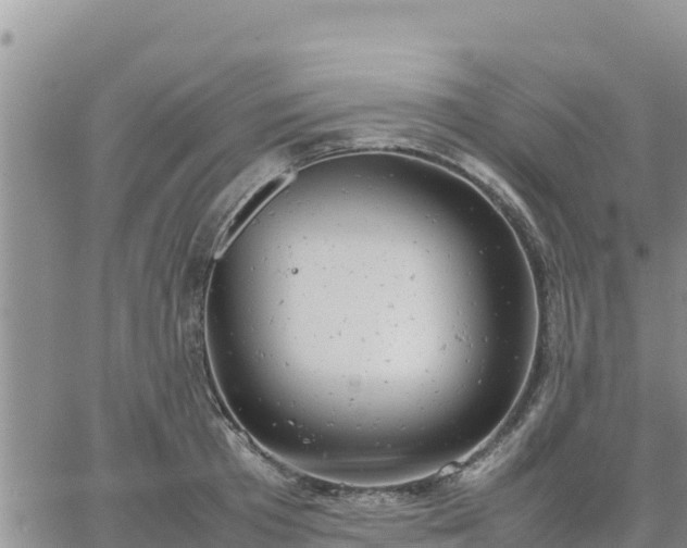 X0000064750801200602171731