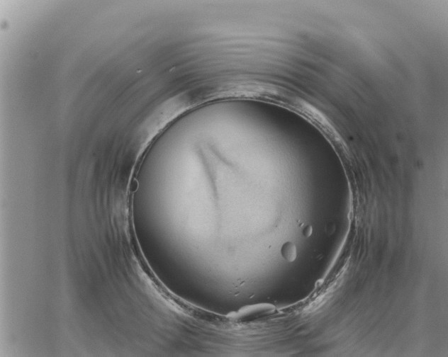 X0000064750802200602171731