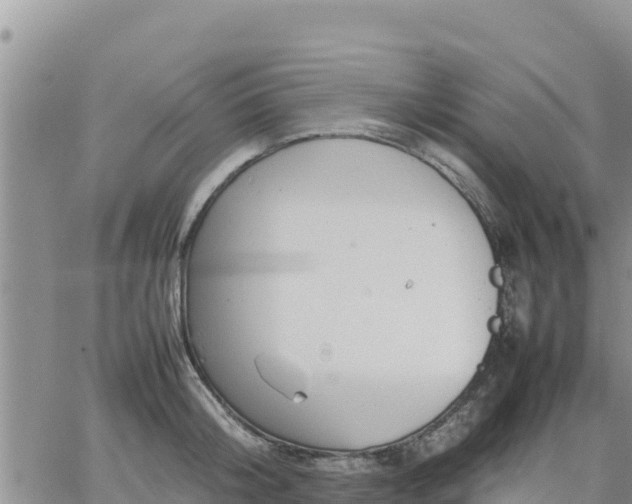 X0000064750804200602171731