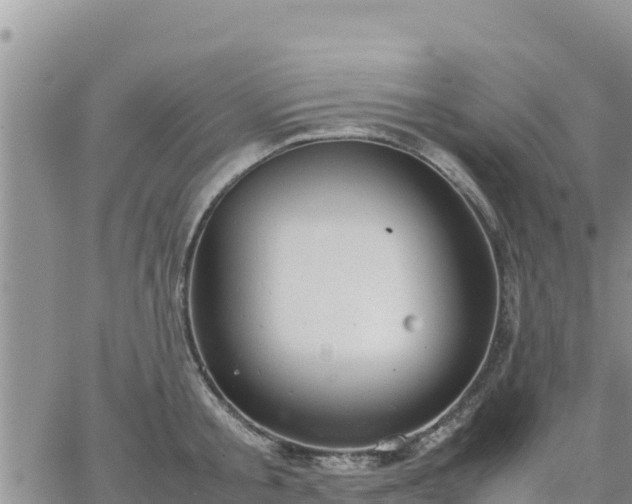 X0000064750805200602171731